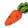 萝卜礼包菌